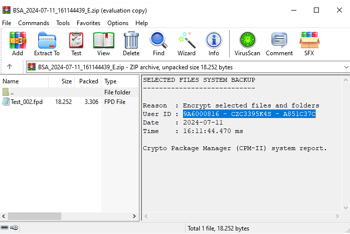 File Protect System backup